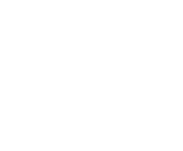 Evolution games at Wild Joker Casino